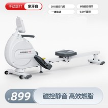 로잉머신 전신 운동 가정용 헬스 조정 노젓기 기구 실내 유산소 근력 화이트, A, 단일사이즈