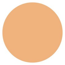 캔메이크 컨실러 컬러 스틱 모이스 트러스트 커버 6종, -개, 자연 오클