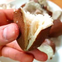 아피오스 인디언감자 인디안감자 알감자 인디언감자 종자, 1kg (종자용)