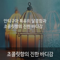 과테말라 안티구아 SHB 원두 커피가루 핸드드립 분쇄원두 로스팅 드립원두 드롭커피 콜드브루원두 1KG, 프렌치프레스 분쇄