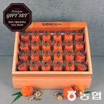 농협 고품격 장성 대봉 반건시 곶감 선물세트, 1박스, 2호