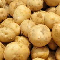 햇 감자 수미 20kg 10kg 5kg 못난이 정품, 20kg 정품(중), 1개