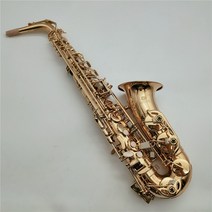 새로운 주피터 JAS-767GL 알토 Eb 조정 색소폰 황동 골드 래커 음악 악기 전자 플랫 케이스 액세서리, 01 Cloth Case