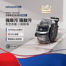 비쎌 스팀 청소기 무선 추천 고압 BISSELL 직물 청소 기계 실버 나이트 소파 커튼 세척 카펫 높은 흡입 올인원, [01] 실버 나이트 플래그십 모델