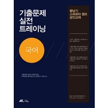 국어 기출문제 실전 트레이닝(2017):황남기 스파르타 캠프 공인교재, 더채움