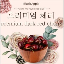 미국 캘리포니아 워싱턴 칠레 체리 항공 생 체리2.5kg