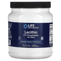 라이프익스텐션 레시틴 파우더 454g Lecithin, 1개, 기본