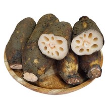 [모자농장]고령 무농약연근 흙연근 숫연근 1kg 2kg 4kg 산지직송, 연근 특 1kg