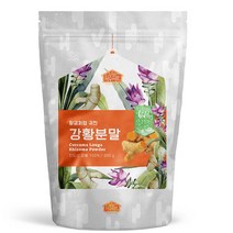건강한우리집비옴 황금처럼 귀한 강황 분말 300g, 1개