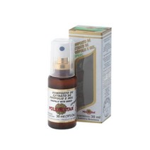 브라질 폴리넥타 프로폴리스 스프레이 30ml x 2개, 1개