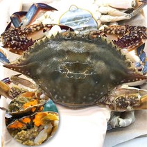 산지직송 국내산 서천 서해 바다 자연산 알베기 암꽃게 냉동 꽃게 급랭 암 꽃게 수율 보장 (80 ~ 100%), 국내산 알베기 급냉 암꽃게 1kg(3/5미), 1개