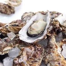 산지직송 제철 각굴 통영 석화 4kg, 단품없음