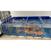 수족관 어항 lvju 물고기 수족관 탱크 92 갤런 350 리터 10010035cm, 한쪽은 클리어, 280리터 100x80x35cm, 협력사