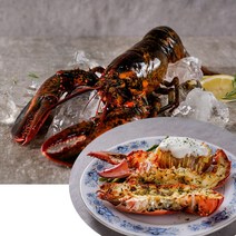 꿀꿀도매 살아있는 바닷가재 항공직송 캐나다에서 자란 활랍스터 로브스터 버터구이 찜 회, 항공직송 캐나다에서 자란 활랍스터 600g 내외
