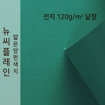뉴씨플레인 종이문화 얇은 양면색지 120g 전지 낱장 1매 No.40 초록색, 1장