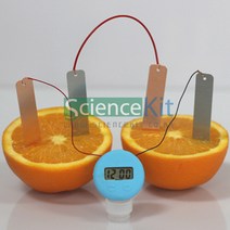과일전지 만들기 1인. 과학 원격수업 교재 온핸드31