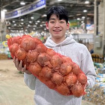 2022년 국내산 후니팜 최상품 햇양파 3kg 5kg 10kg, 특3kg