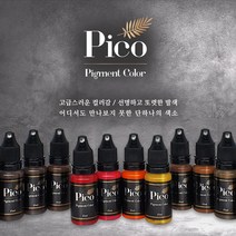 피코 Pico 반영구화장 색소 15ml 22종 머신 엠보 수지 겸용색소, 1개, 블랙