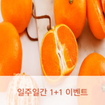 고당도 가정용 레드향 및 천혜향 판매(14brix이상/박스포함무게), 1+1못난이 천혜향3kg(중과/10~16과)