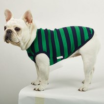 럭키페터 베이직 스트라이프 대형견 민소매 소형견 강아지 나시, 그린/네이비