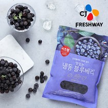 [CJ프레시웨이] 냉동 블루베리 1kg   1kg, 단품