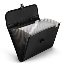 CareFree D5232 A4 사이즈 서류 보관 가방, 블랙