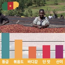 캅카와 [럭셔리]원두 카메룬 블루마운틴 내추럴 500g, 핸드드립용