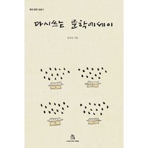 다시 쓰는 문학에세이, 상상의힘, 김상욱 저