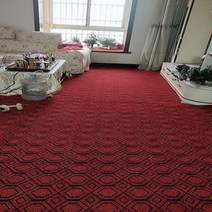 거실러그 거실러그 바닥전체의양탄자 그레이 1롤 사진촬영 상업용 사무실 계단 거실 가정용 대면적 도매 두꺼운