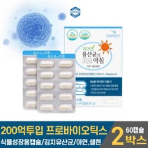 담다 신선한 유산균 아침 프로바이오틱스 프로바이오 스틱 텍스 200억 투입 특허받은 김치유산균 함유 캡슐 알약 아연 장용성 캐나다 로셀사 2중 코팅 장건강 유산균 온가족 임산부, 2개, 60캡슐