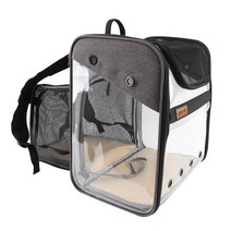 도그아이 강아지 확장형 투명 이동 백팩, 그레이