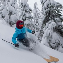 BLACKSTRAP Team Hood 방한모 페이스 마스크 정품보장, One Size, Emerald