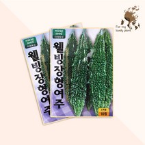 웰빙장형여주 10립 미래종묘 열매채소류 씨앗