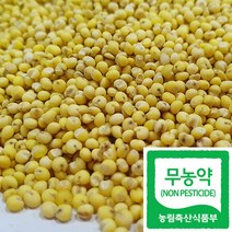 국산 친환경 쌀 무농약 기장 급식 잡곡 콩, 1봉, 1kg
