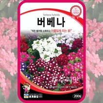 버베나 씨앗 200립 마편초 꽃씨 꽃씨몰 종자 verbena seed 다년생, 단품