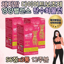 예비신부 살빠지는 예신다이어트 체지방 피하지방빼는법 가르니시아 HCA 아랫배 옆구리살 턱살 볼살 비타민 가르니시아 추천 40대 50대 하체 선물 여름 휴가 한달 중년 주부 홈쇼핑 직구
