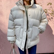 oshu / 겨울 하이넥 미니멀 고급스런 20대 30대 숏패딩