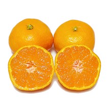 [제주의맛] 맛있는 제철 감귤 산지직송! 품질보장!, 감귤 꼬마 5kg
