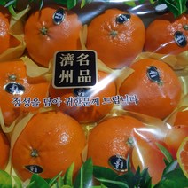 [명가]제주 황금향 레드향 천혜향 한라봉 비가림 하우스 감귤, 1박스, 06.레드향 3kg/선물용(7~12과내외)