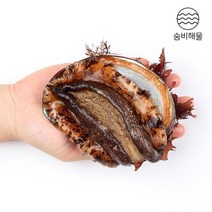 숨비해물 거제도 해녀 자연산 전복1kg(9~10미내외), 단품