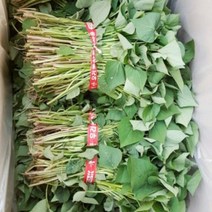 맛있는 농장 호박고구마 모종 10kg(4월1일부터예약주문받습니다), 호박고구마 모종 10kg, 5월 18일 도착