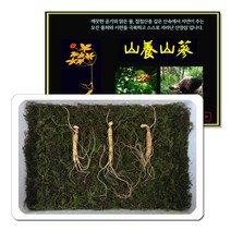 삼바이 산양산삼 5-6년근 선물세트 산삼 산양삼 장뇌삼 인삼 면역력 기력보강 설날 추석 설선물 설명절 추석선물 추석명절 명절선물, 5년근 3주