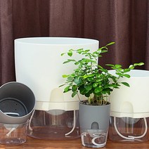 모던플라워 자동 화분 키우기 세트 (중형), 화이트 중형