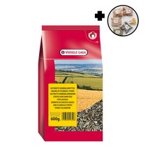 앵무새 코뉴어 해바라기씨 간식 버셀라가 600g, 1개