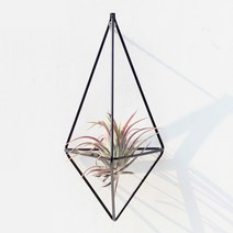 틸란 프레임 벽걸이(블랙) 10.5cm x 21cm이오난사, 1개