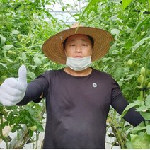 횡성다다생토마토즙 110ml x 30포, 토마토즙 30포