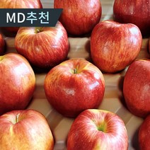 [당일수확발송] 부사 홍로 빨간사과 고당도 가정용 꿀 사과, 1개, 3kg 중소과(13-14과)
