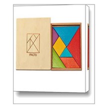 팩토 교구 : 칠교 탱그램 / 타임교육