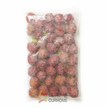 냉동 람부탄 1kg x 2, 단품, 단품