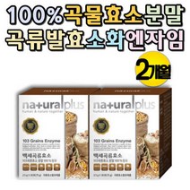100% 곡류 효소 분말 엔자임 ENZYME 속더부룩할때 현미 율미 수수 결명자 소화효소 효소제 속편한 엔자임효소 엔자